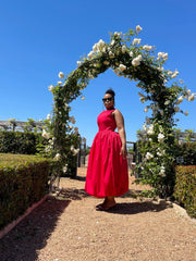 ROBIN DRESS