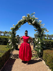 ROBIN DRESS
