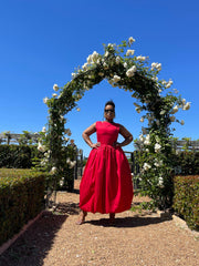 ROBIN DRESS