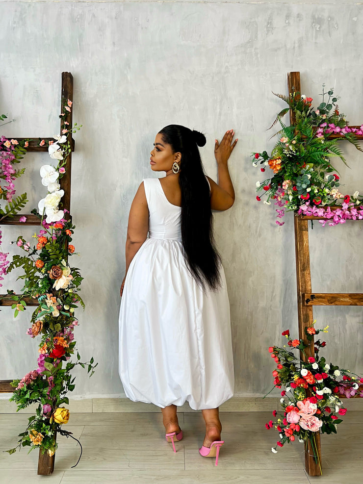 ROBIN DRESS